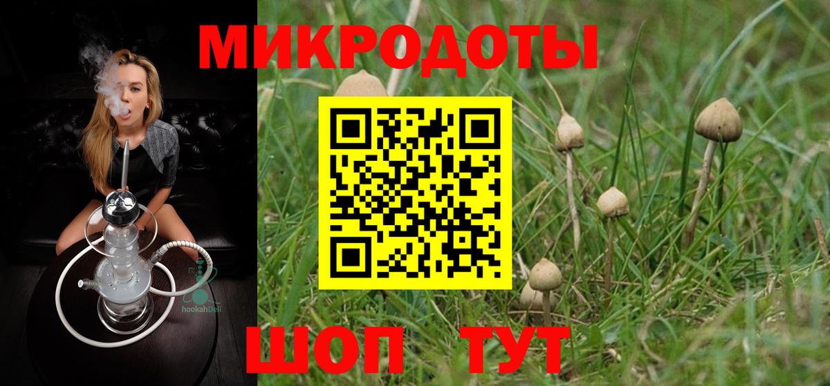 Алапаевск  Псилоцибиновые грибы мухоморы  Вход с VPN 